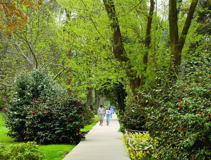 jardin des plantes