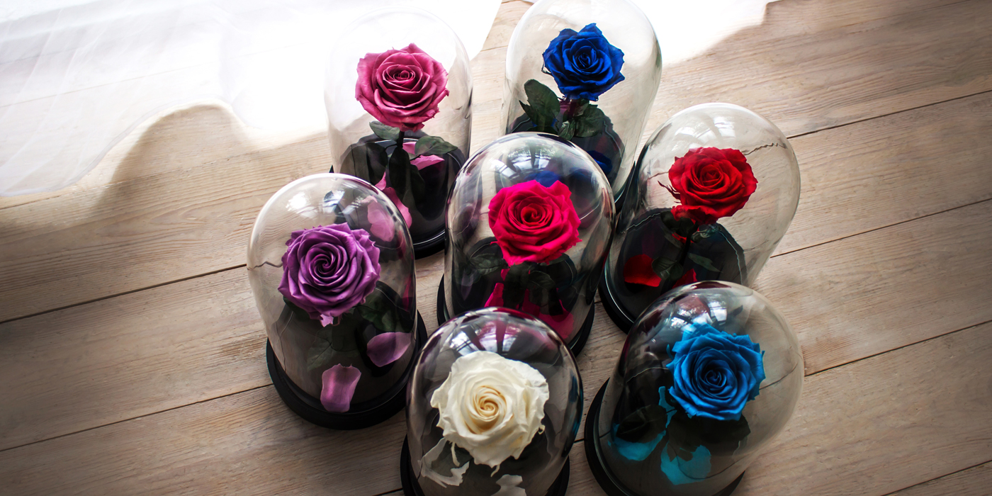 Inspirations de décoration d'intérieur : offrez une rose éternelle sous  cloche – Blog deco